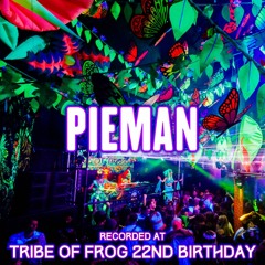 Pieman - Recorded at TRiBE of FRoG 22nd Birthday