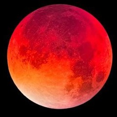 Moon Lit Dancer