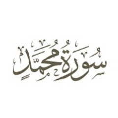 آيات من سورة محمد - عبدالوهاب الشعلان