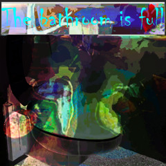 The bathroom is full