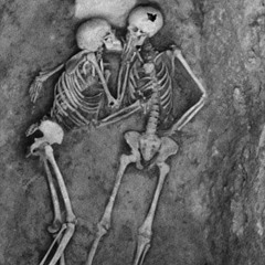 never learn not to love