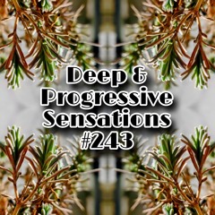 Deep & Progressive Sensations #243 | The Evolution of Flow