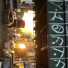 Tooting Pleasure Centre - 01