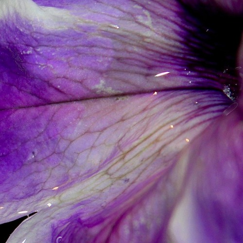 Cynthia Spiering - No Other Way (Delano Legito Remix) [Artaphine Premiere]