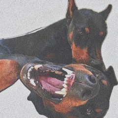 DP 35 | Vizionary