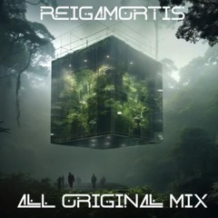 Reigamortis 2025 All Original Mix (Unreleased)