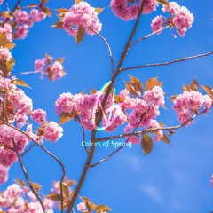 Colors Of Spring