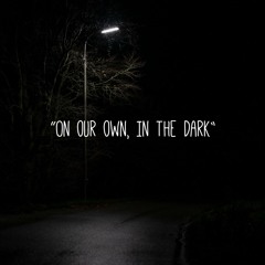 On Our Own, In The Dark (Feat. Emo Fruits) prod. Jolst