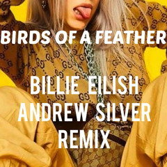 Billie Eilish - BIRDS OF A FEATHER (Andrew Silver Remix)