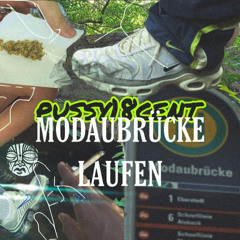 pussy18cent~Modaubrücke laufen (mix&master by alprasohn)