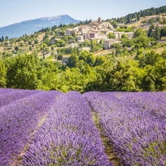 Le sud