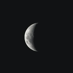 I hate you I love you