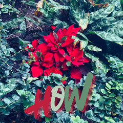 How? (Prod. Corsin x lL lK)