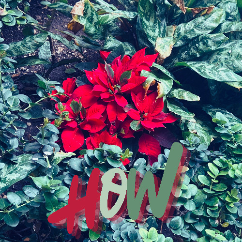 How? (Prod. Corsin x lL lK)