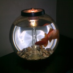 TWISTED CLASSICS.....09 NOV 2025