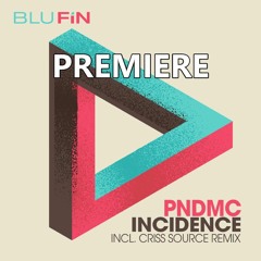 PNDMC - Incidence (Criss Source Remix)