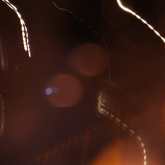 220812 月 (電子/demo)