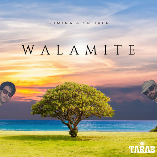 Walamite - Extended Mix