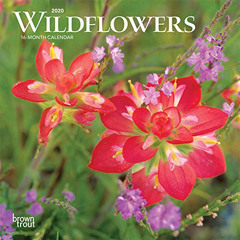 download EPUB 🗃️ Wildflowers 2020 7 x 7 Inch Monthly Mini Wall Calendar, Flower Outd