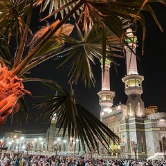 وَلَيْسَ بِضَارِّهِمْ شَيْئًا إِلَّا بِإِذْنِ اللَّهِ ۚ | سورة المجادلة ١٤٤٠هـ | العفاسي