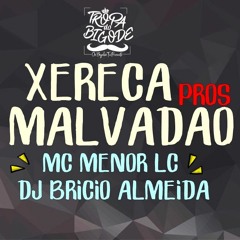 MC MENOR LC - XERECA PROS MALVADÃO - DJ BRICIO ALMEIDA - PART. MC SUSPENSE