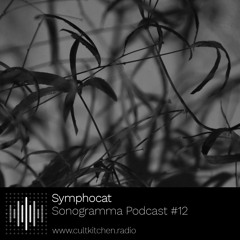 Sonogramma Podcast #12 – Symphocat