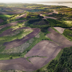 Ни одна экосистема в мире настолько не уничтожена человеком, как степи в Украине — эколог