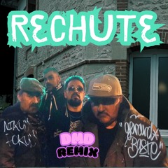 RechutE  remix svinkels