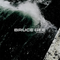 BRUCE GEE | Chasing The Moment