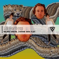 Roland Cristal - La Pantera (TonnHB Donk Flip)