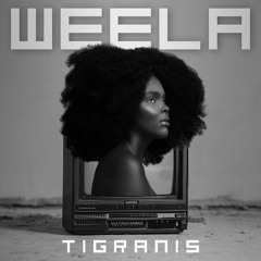 Weela [Melodic Afro Techno]
