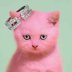 Cami Wilde - Kitty Kitty Kitty (Beat Prod  AngelLaciencia)