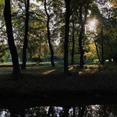 @tnezhnosti mxtp - человек человеку человек, а миру мир