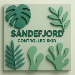 Controlled Skid