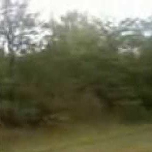 paslaptingas ritualas