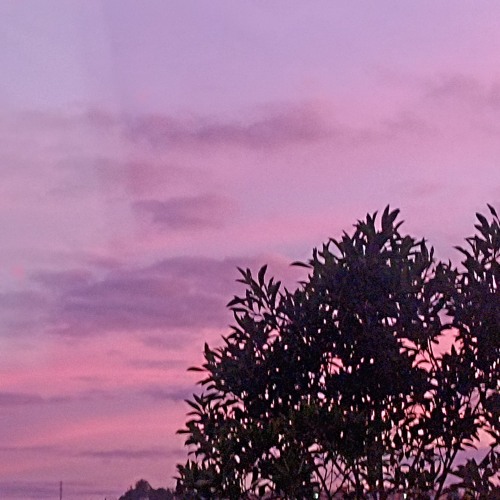 céu em tons de rosa