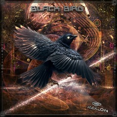 Black Bird - Original Mix