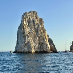 But for me I will wait on Jehova. 🌹🎻🎶 Más yo miraré a Jehová 🌹🎻🎶