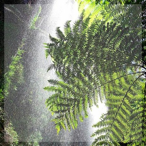 Don Juan Mezcal - Cura mi Corazón