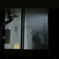 see through nights