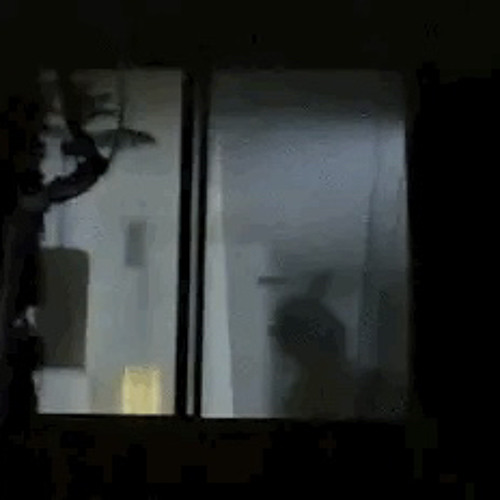 see through nights