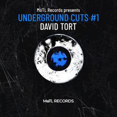 David Tort - SERT (Extended Mix)