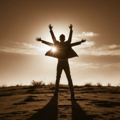 The Sly Man! "Delta Edit" (Avicii Tribute)