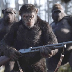 TROPA DO MACACO