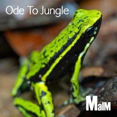 Ode to Jungle