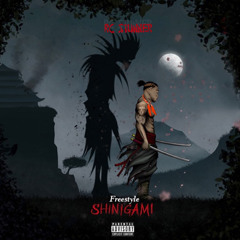 RC STUNNER_ SHINOGAMI (freestyle).wav
