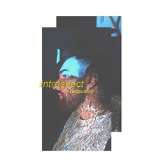 introspect (acoustic)