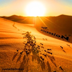 halF processioN [naviarhaiku622]