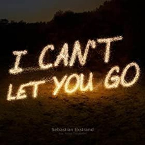 I CANT LET YOU GO