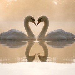 Piano Love Music "Together Forever"